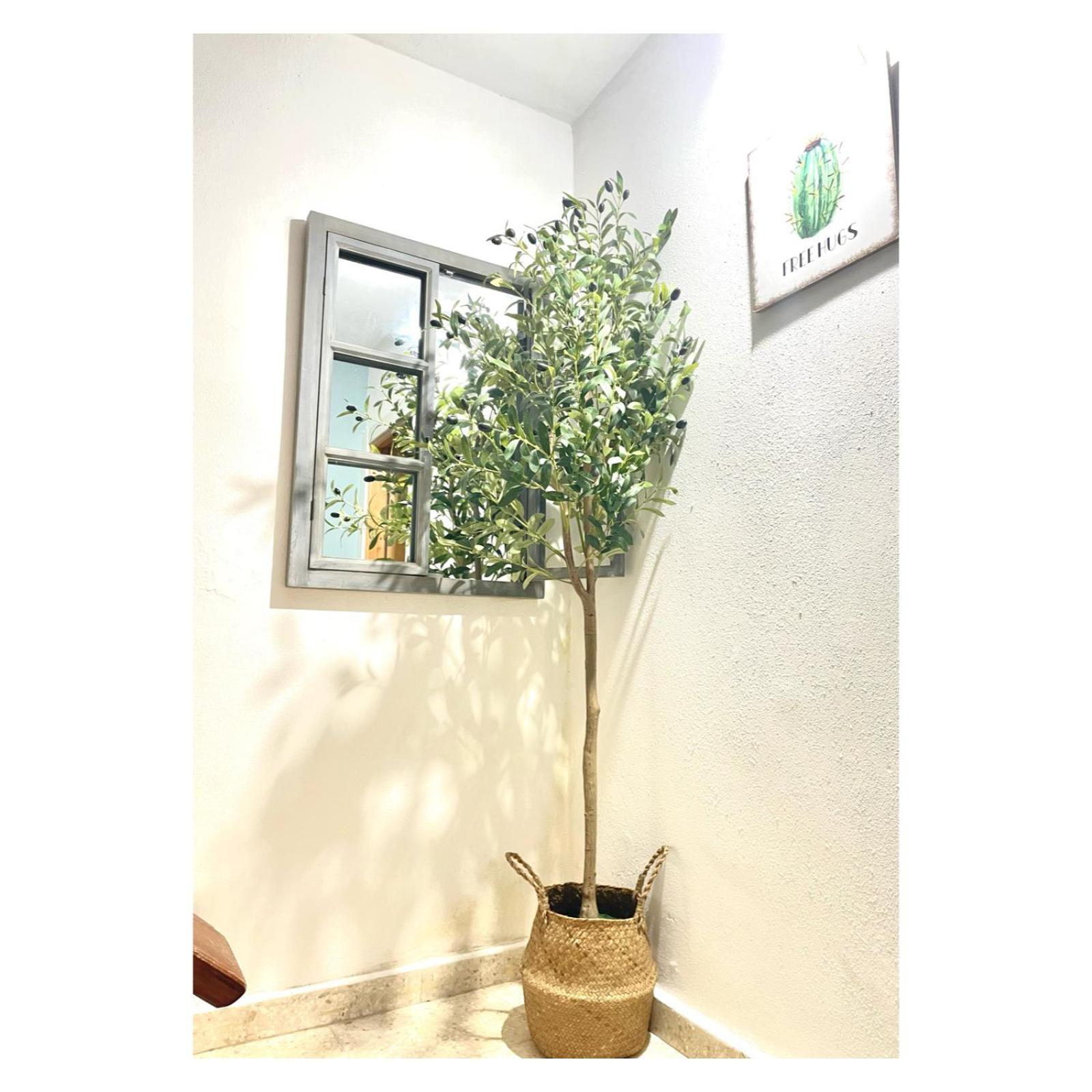 Pontevedra Apartments - Peregrina Family Suite מראה חיצוני תמונה